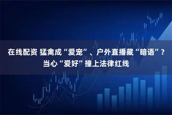 在线配资 猛禽成“爱宠”、户外直播藏“暗语”？当心“爱好”撞上法律红线